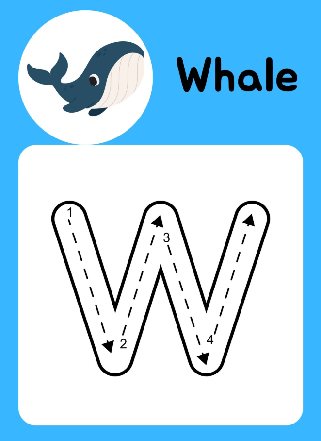 Trace Worksheet - Write the Alphabet 53 Pages
